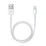 Apple Lightning to USB Cable (0.5m) (ME291ZM/A) Apple Lightning to USB Cable (0.5m) (ME291ZM/A)